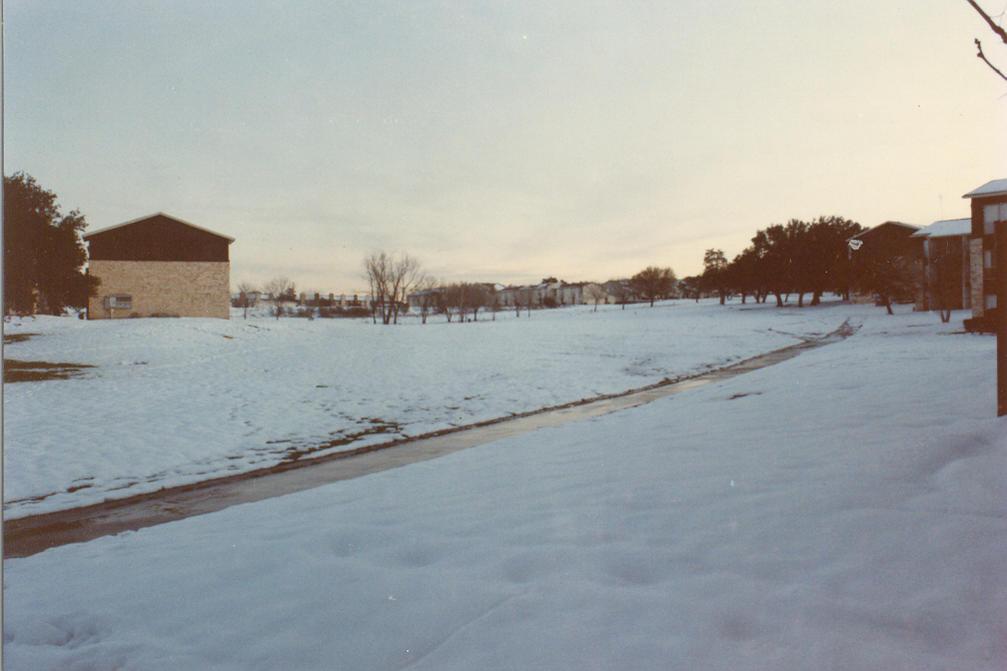 12 inches of snow. Photo from City-Data.