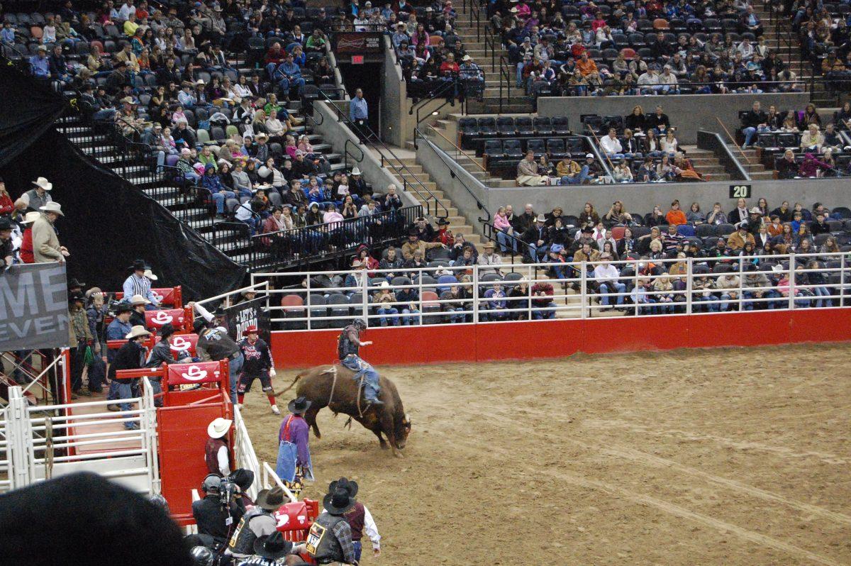 Why Rodeo, San Antonio?