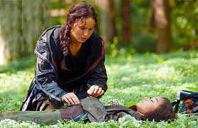 Hoopla Over Hunger Games - But Was It Stolen?