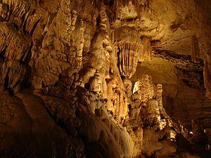 Natural Bridge Caverns.
Photo courtesy of http://en.wikipedia.org/wiki/Natural_Bridge_Caverns