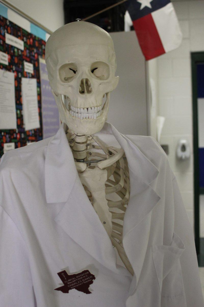 The medical career choice, even a skeleton chooses. Photo by Ashley Duke.