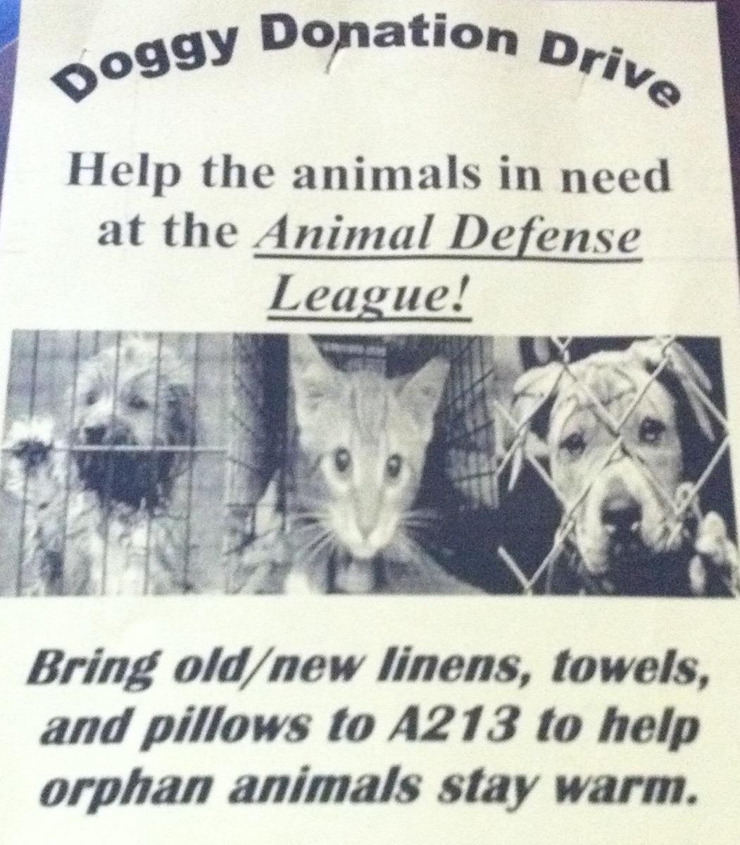 Flyer distributed through out the school, Doggy Donation Drive.