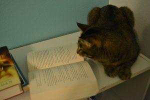 Cartmina enjoying a nice book. Photo by Vanessa Ramirez 