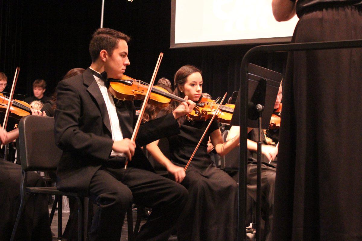 Orchestra performing Carnival of the Animals.
Photo by: David Mota 