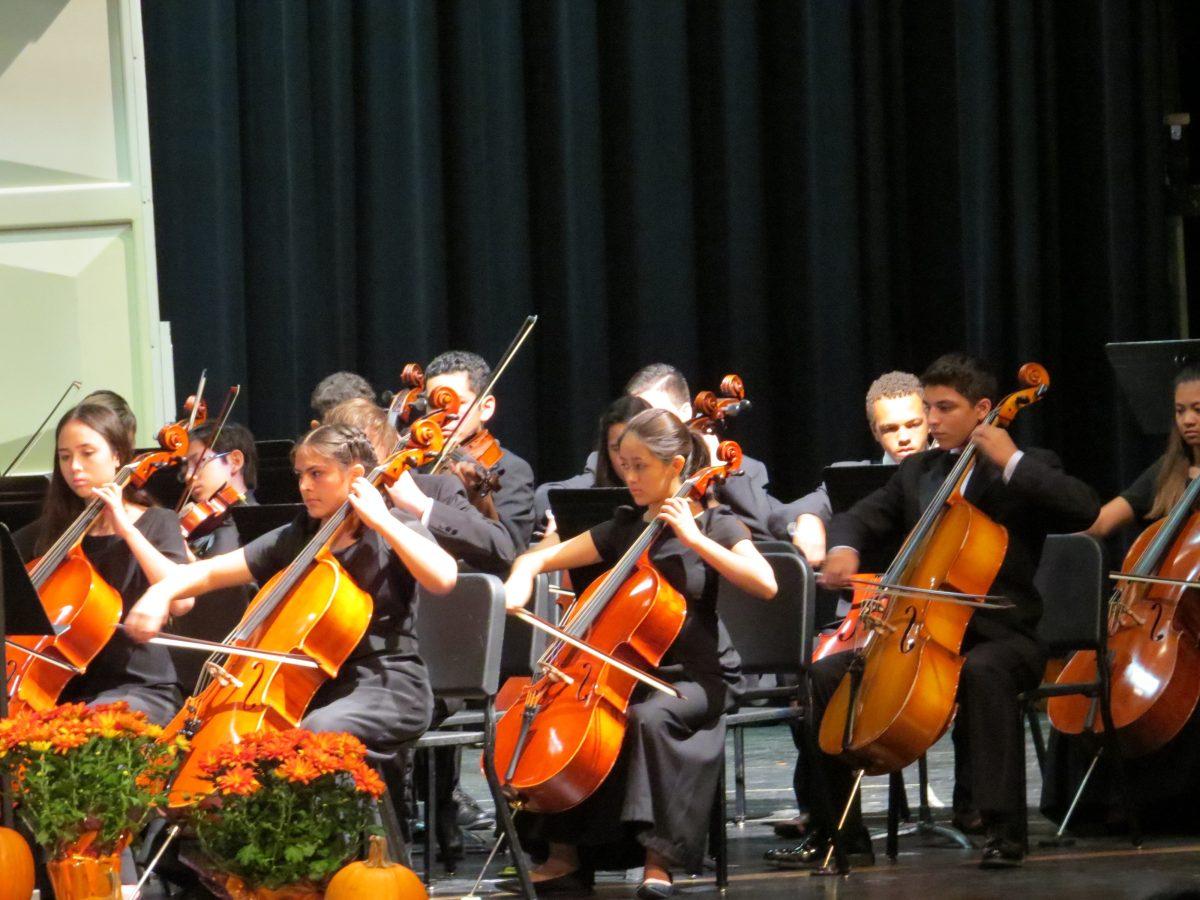 Freshman Sinfonietta performing. Photo by: Leslie Frost