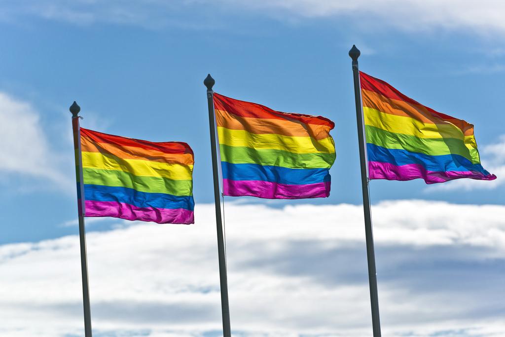 Gay pride flags
Photo by foter.com