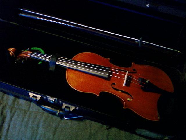 violin from foter.com