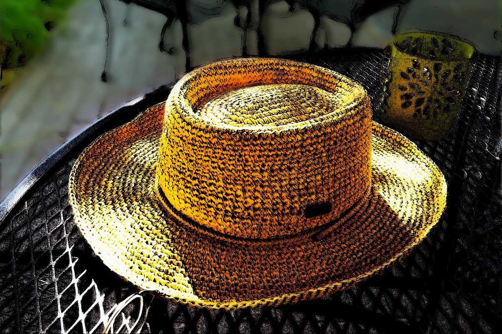 The hat from the scarecrow costume. From https:www.flickr.com/photos/