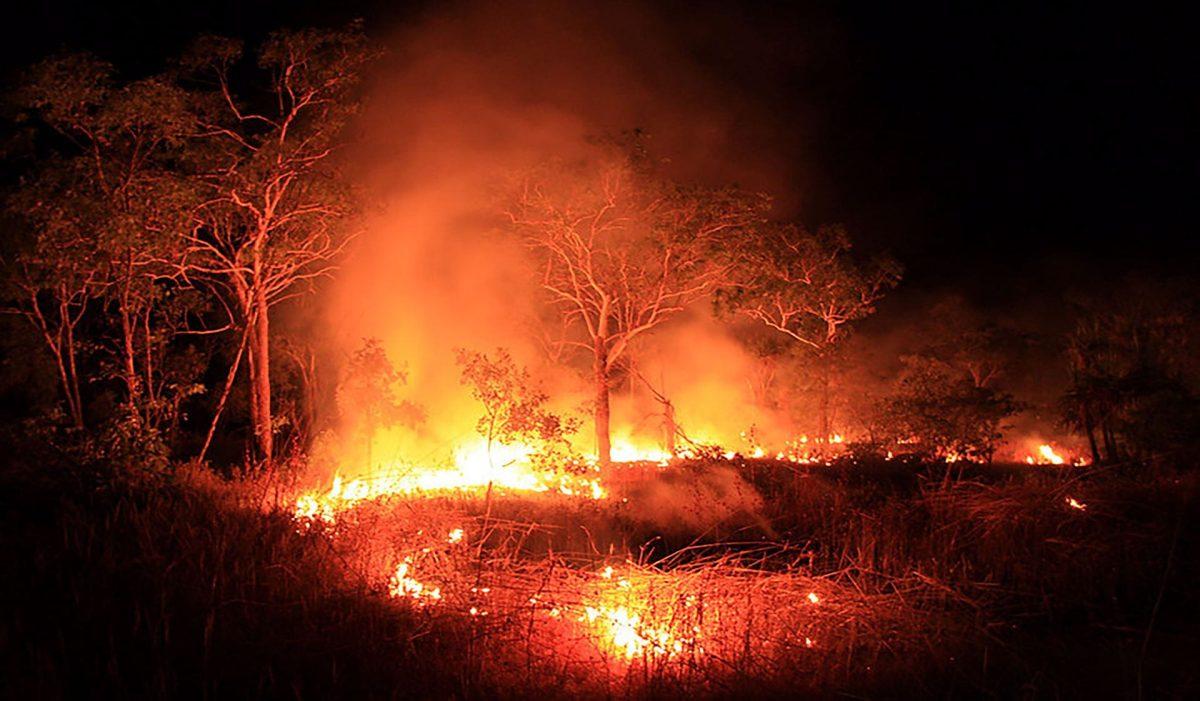 StuCo Helps Fight Aussie Fires