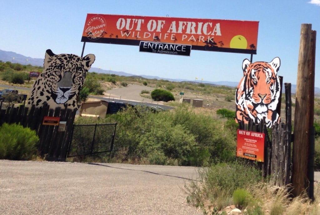 AnimalAmusement park in Phoenix, Arizona picture
 by Stephanie Lopez