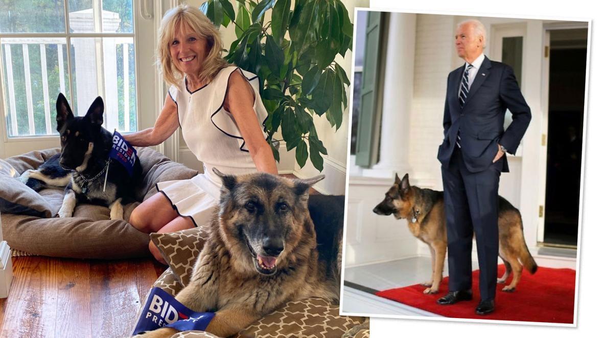 Interesting White House Pets