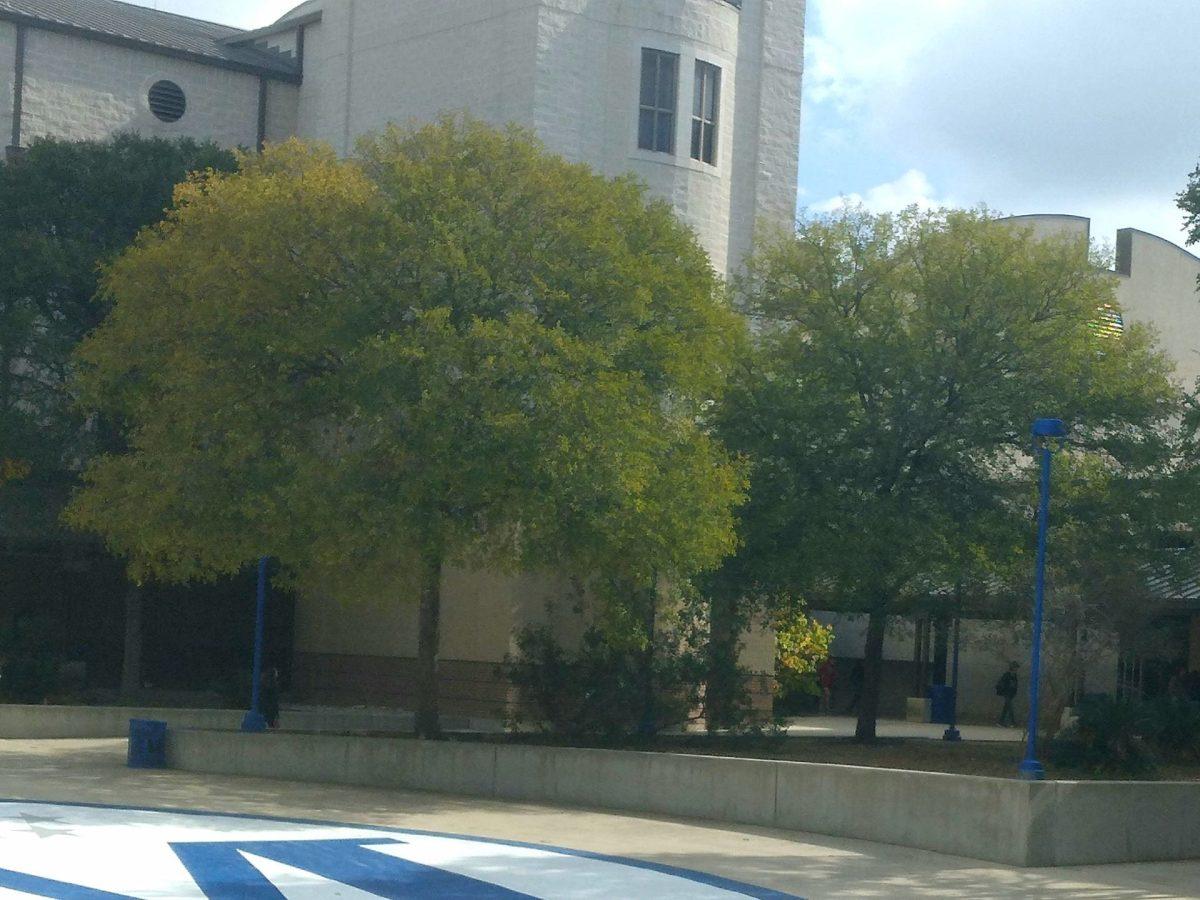 Leaves changing colors on the trees in courtyard