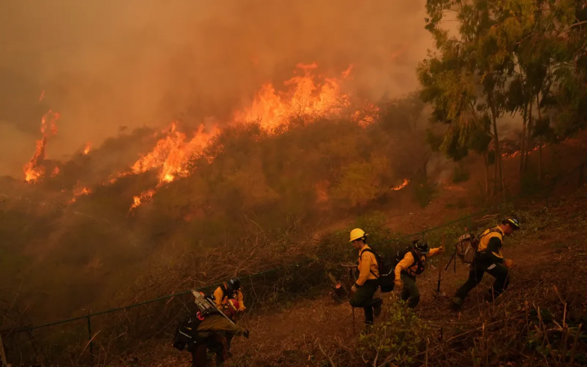 Here's How to Help L.A.