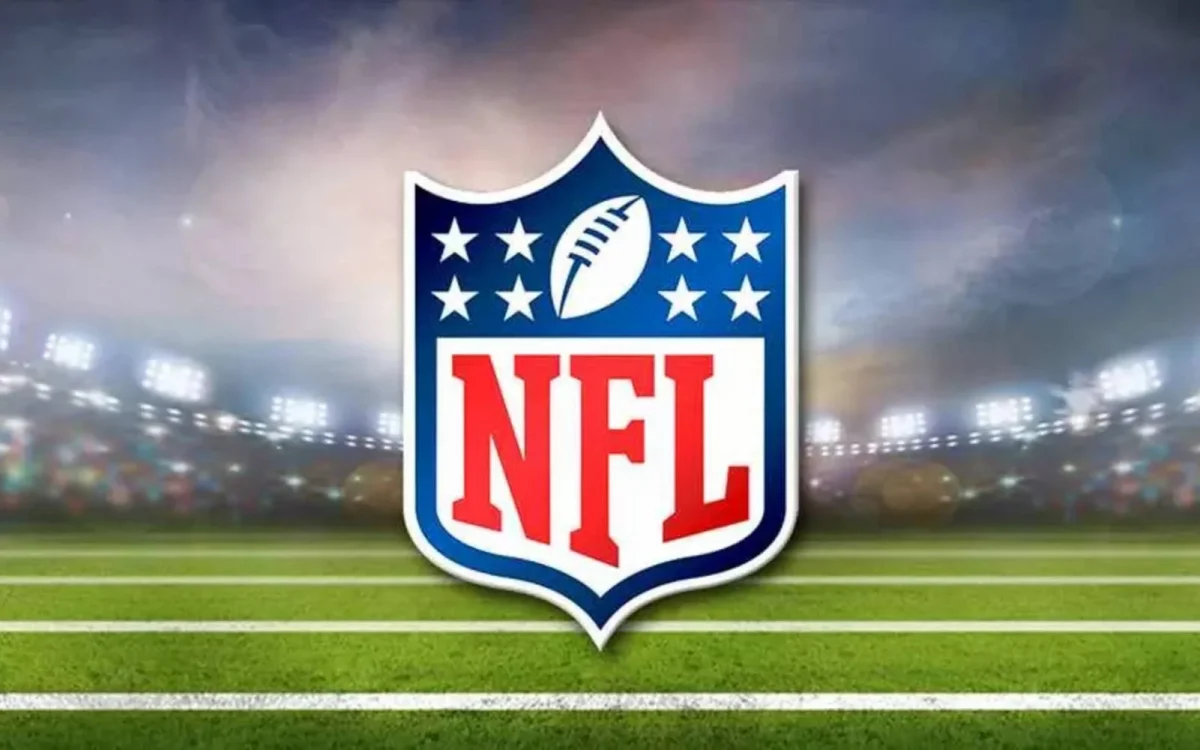 NFL Playoffs Review