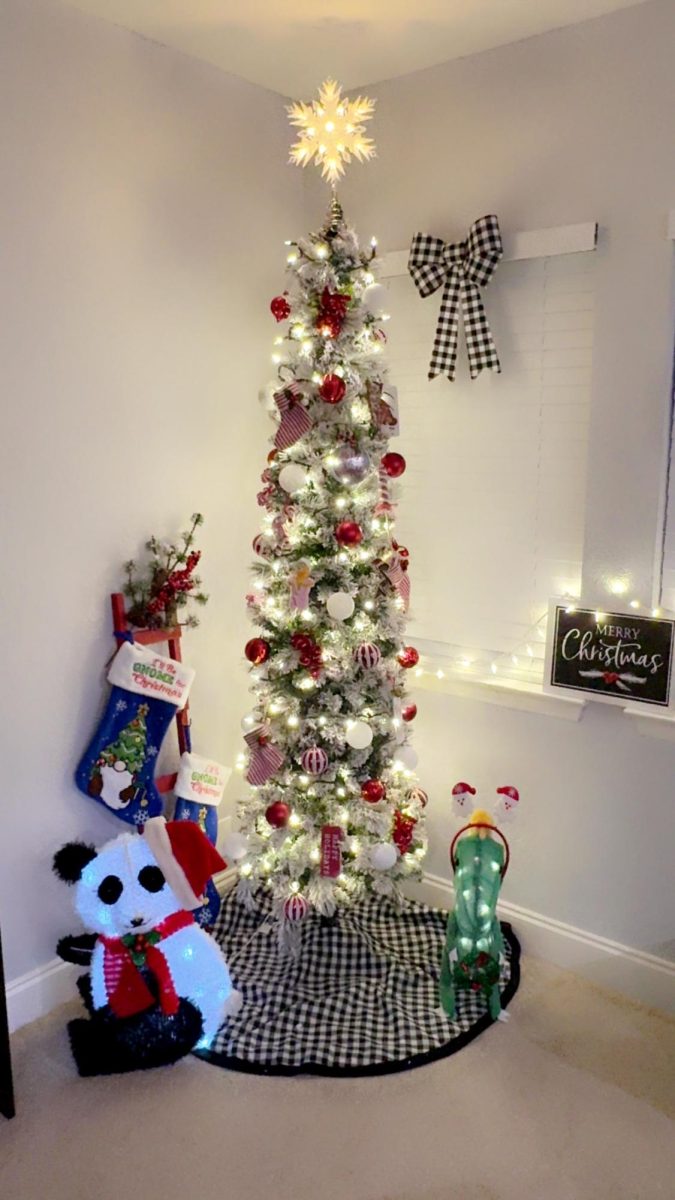 The Spirit of Christmas: Different Traditions Keep the Holiday Alive