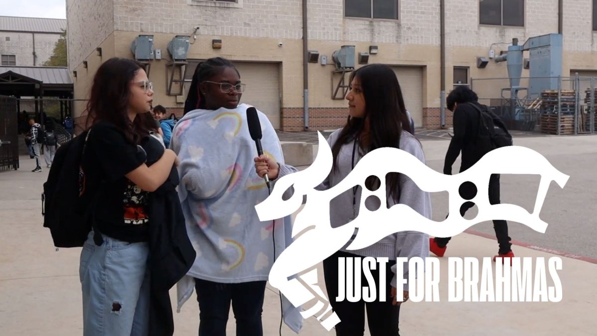 Watch Just For Brahmas 06