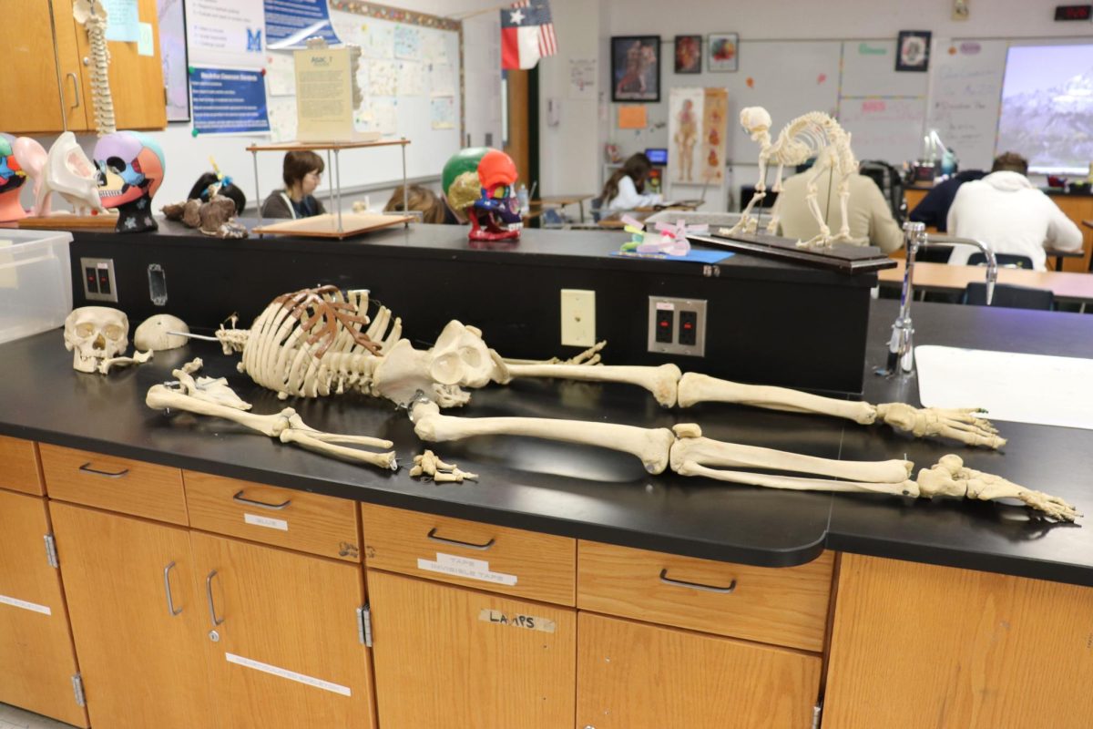 Bone Chilling Discovery