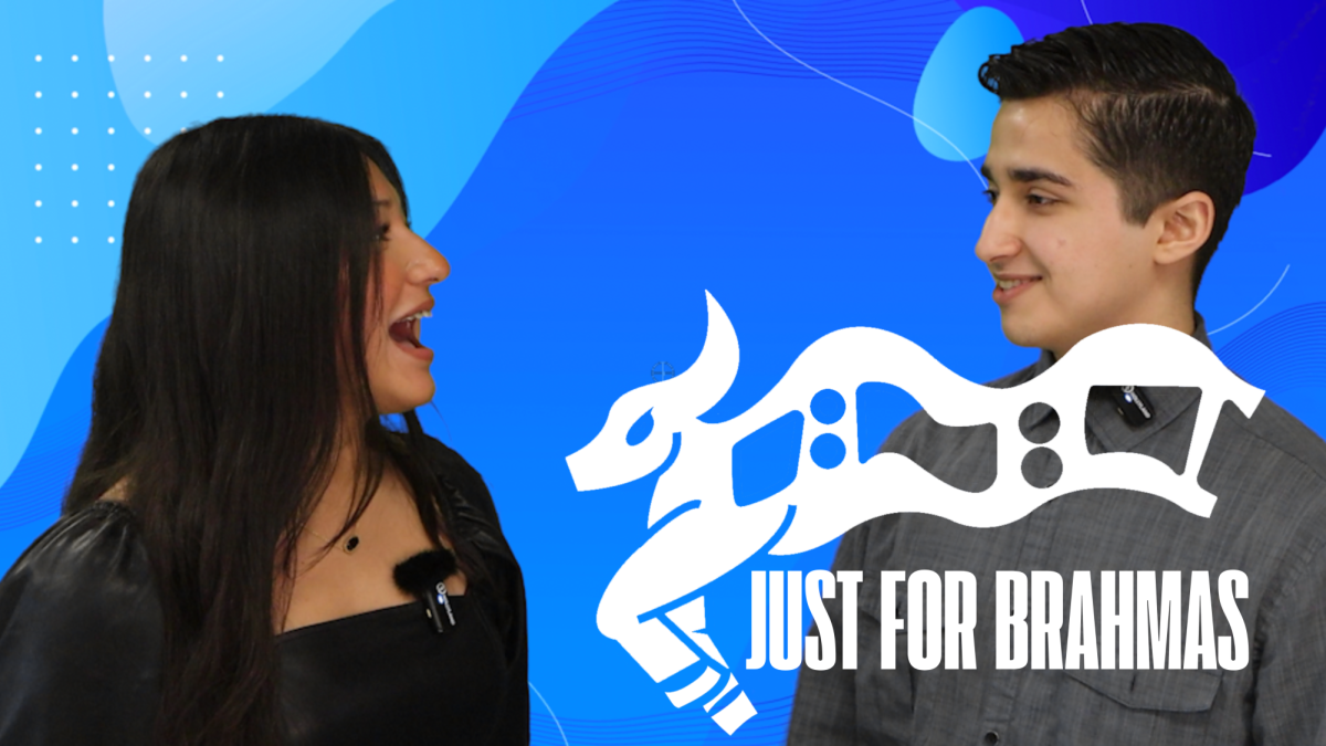 Watch Just For Brahmas 12