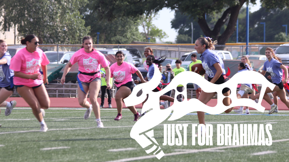 Watch Just For Brahmas 14